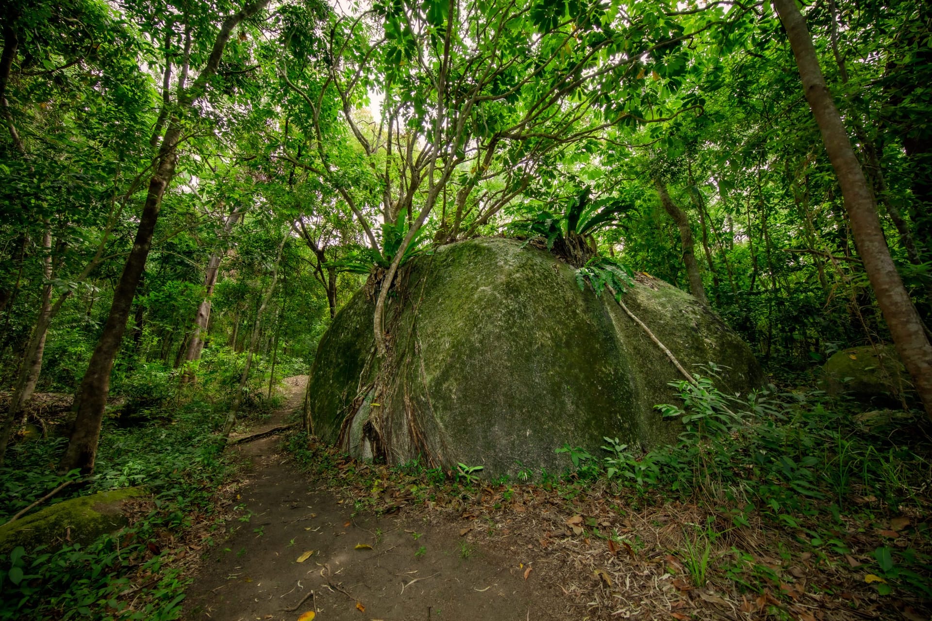 Sacred granite boulder